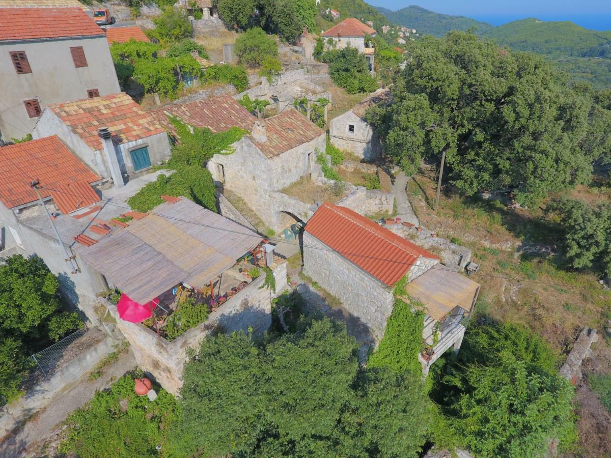 Cottage Melita The Apartment For Animal Lovers Babino Polje Экстерьер фото